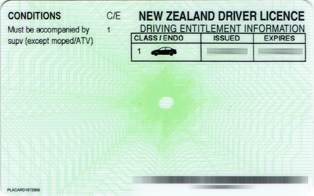 Class 1 drivers license bc